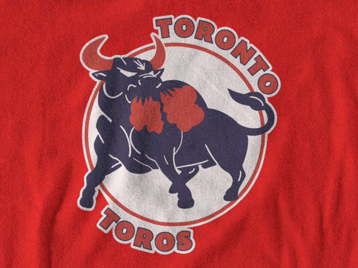 Toronto Toros Hoodie
