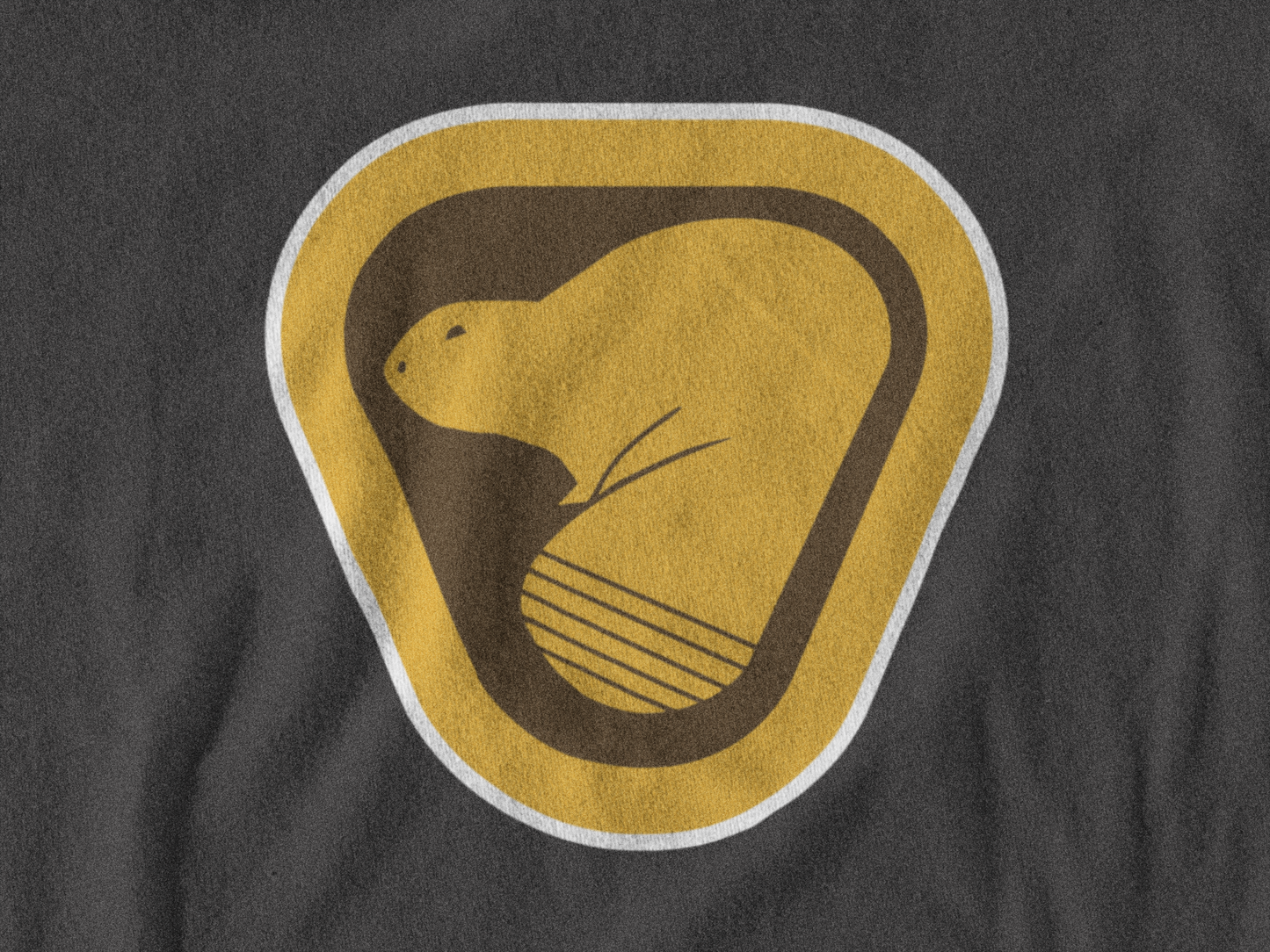 Beaver Park Hoodie