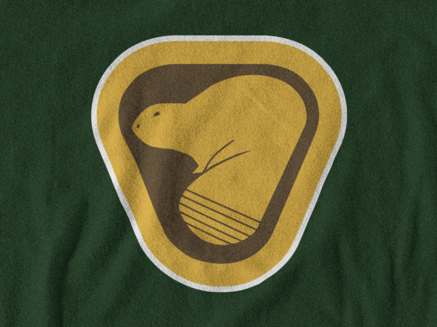 Beaver Park Hoodie