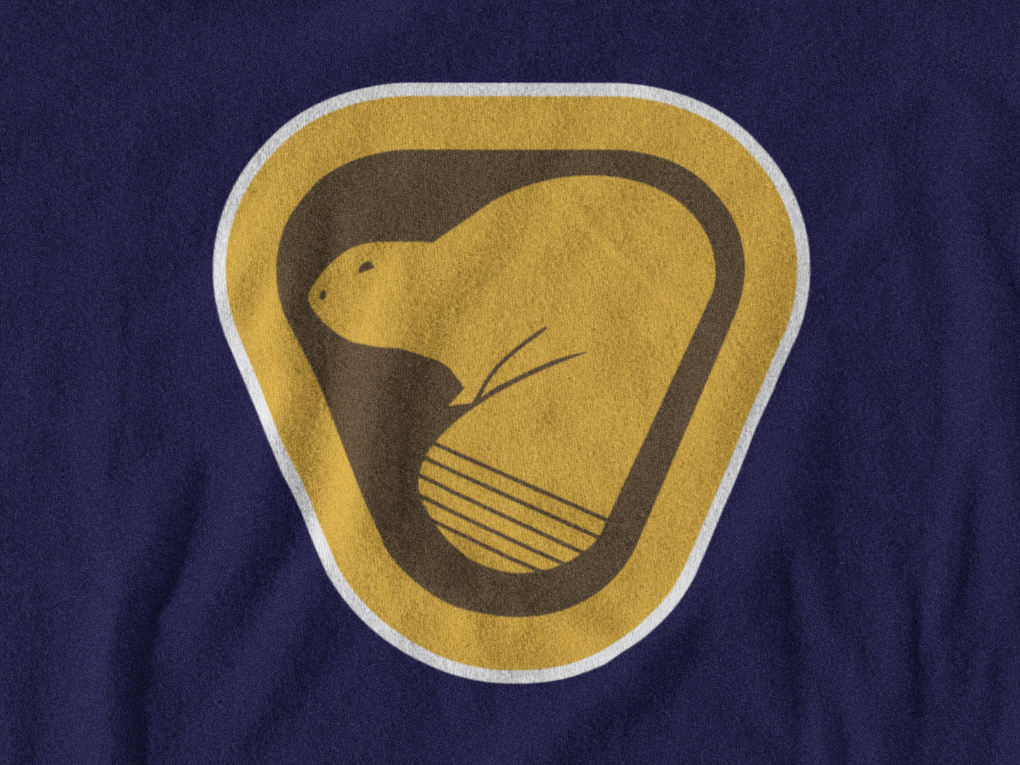Beaver Park Hoodie